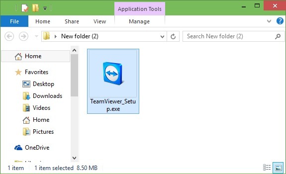 Use TeamViewer without installation in Windows picture1