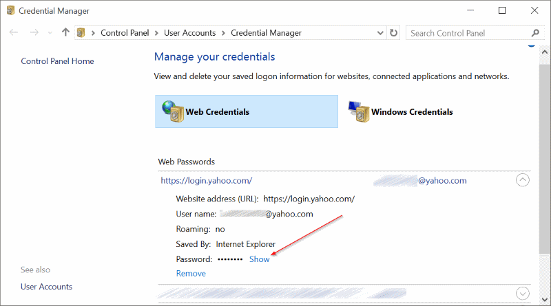 Ver contraseñas guardadas en Edge Browser In Windows 10 pic3