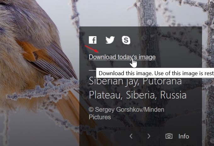 download Bing wallappers for Windows 10 pic2